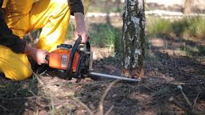 Best Grass Overseeding  in Princeton, NJ