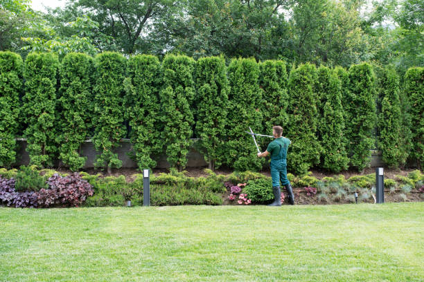 Best Leaf Removal  in Princeton, NJ