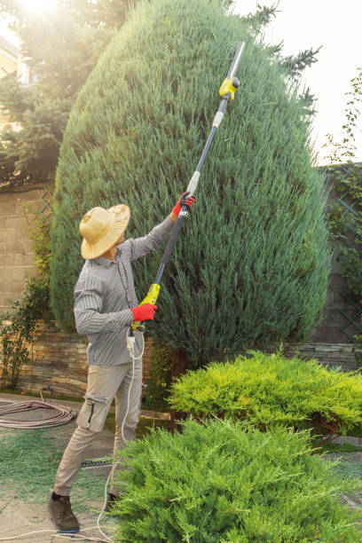Lawn Irrigation Installation and Maintenance in Princeton, NJ